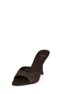 AGENT-RAF Dark Brown Raffia _hover