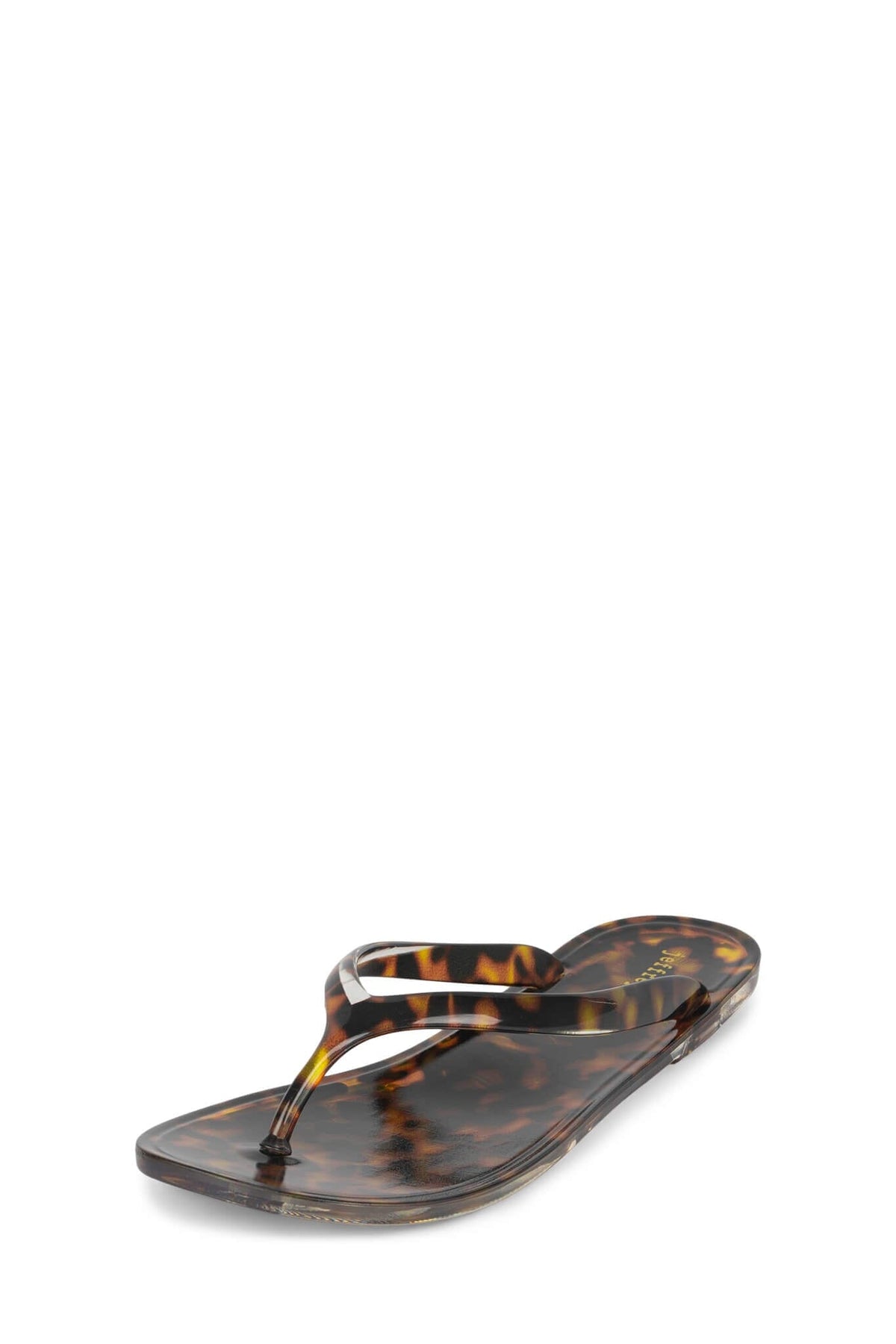 BEACH-DAY Tortoise _hover