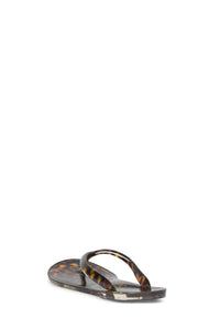 BEACH-DAY Tortoise 3