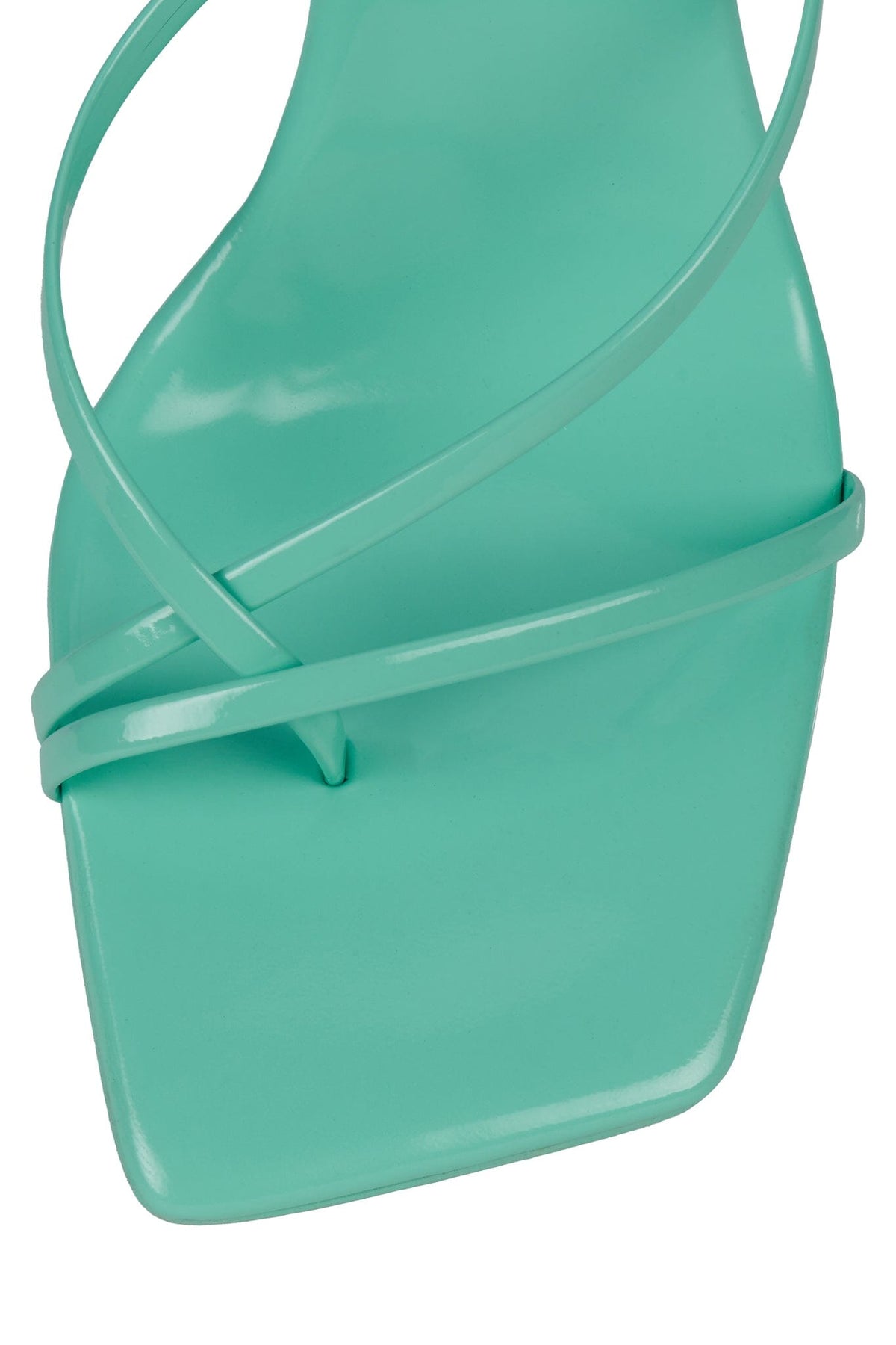 BISCOTTI Mint Patent 5