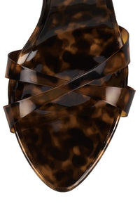 GRACIELA Tortoise 4