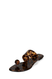 MAR-VISTA Tortoise _hover