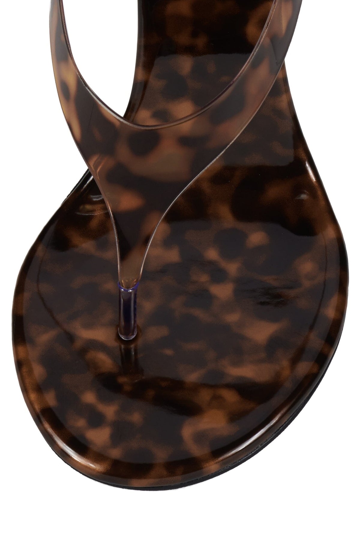 RHIAN Tortoise 4