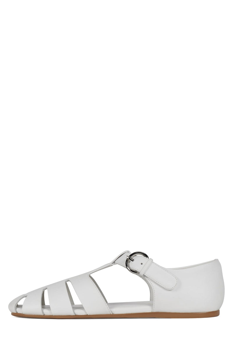 THEORIZE White