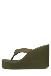 ASTRIA-2 Olive