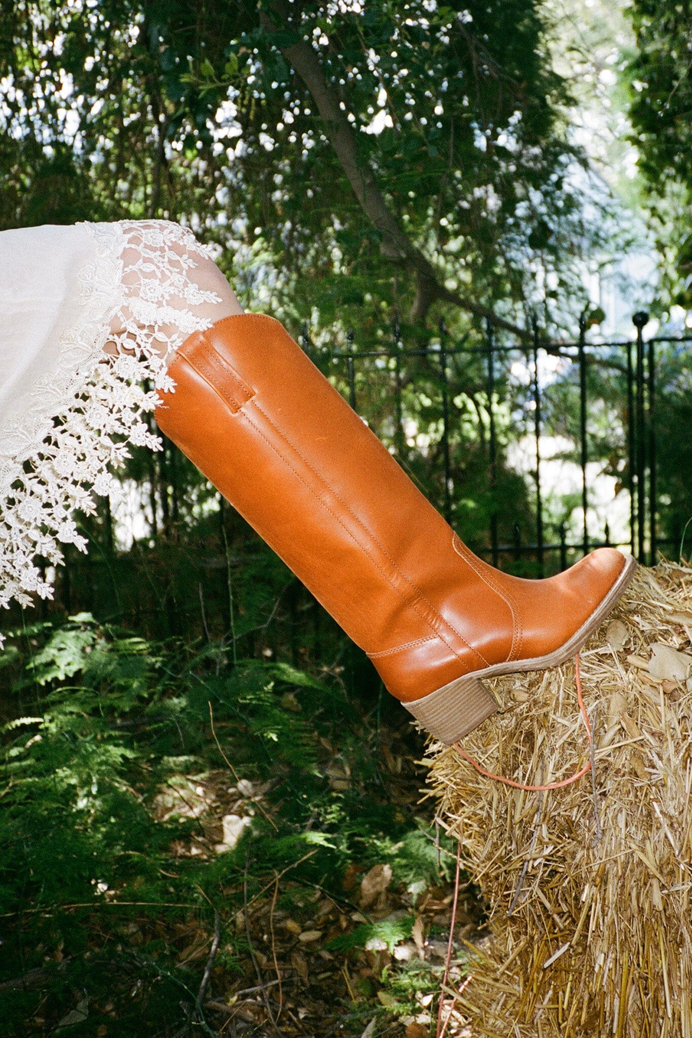 BLESSIE Jeffrey Campbell Knee-High Boot