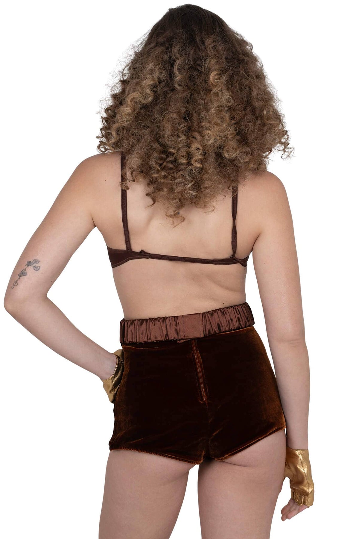 BRIA-SEQ Jeffrey Campbell Belt Brown Combo 