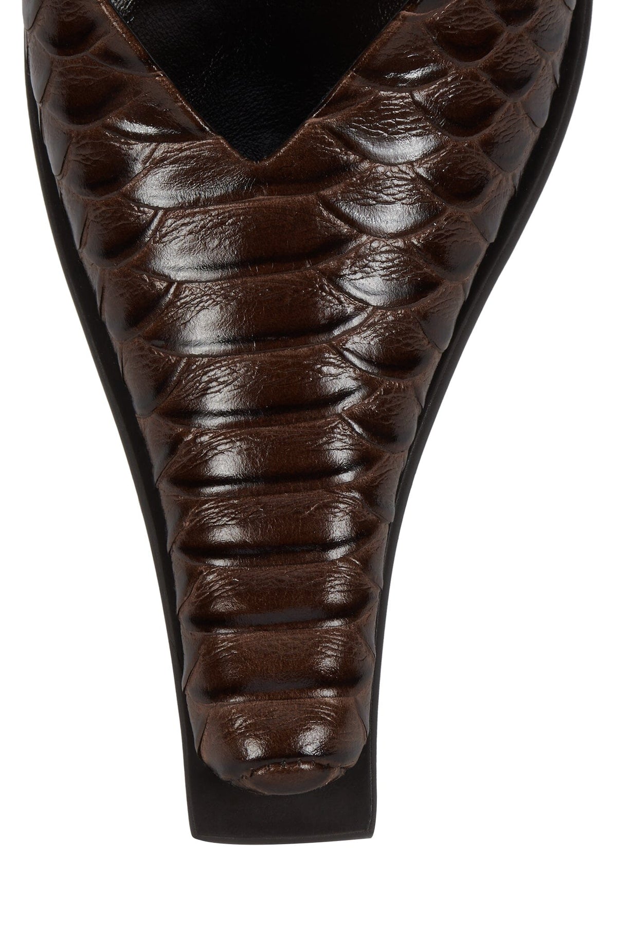 CENTAURI Jeffrey Campbell Pump Brown Snake Pewter