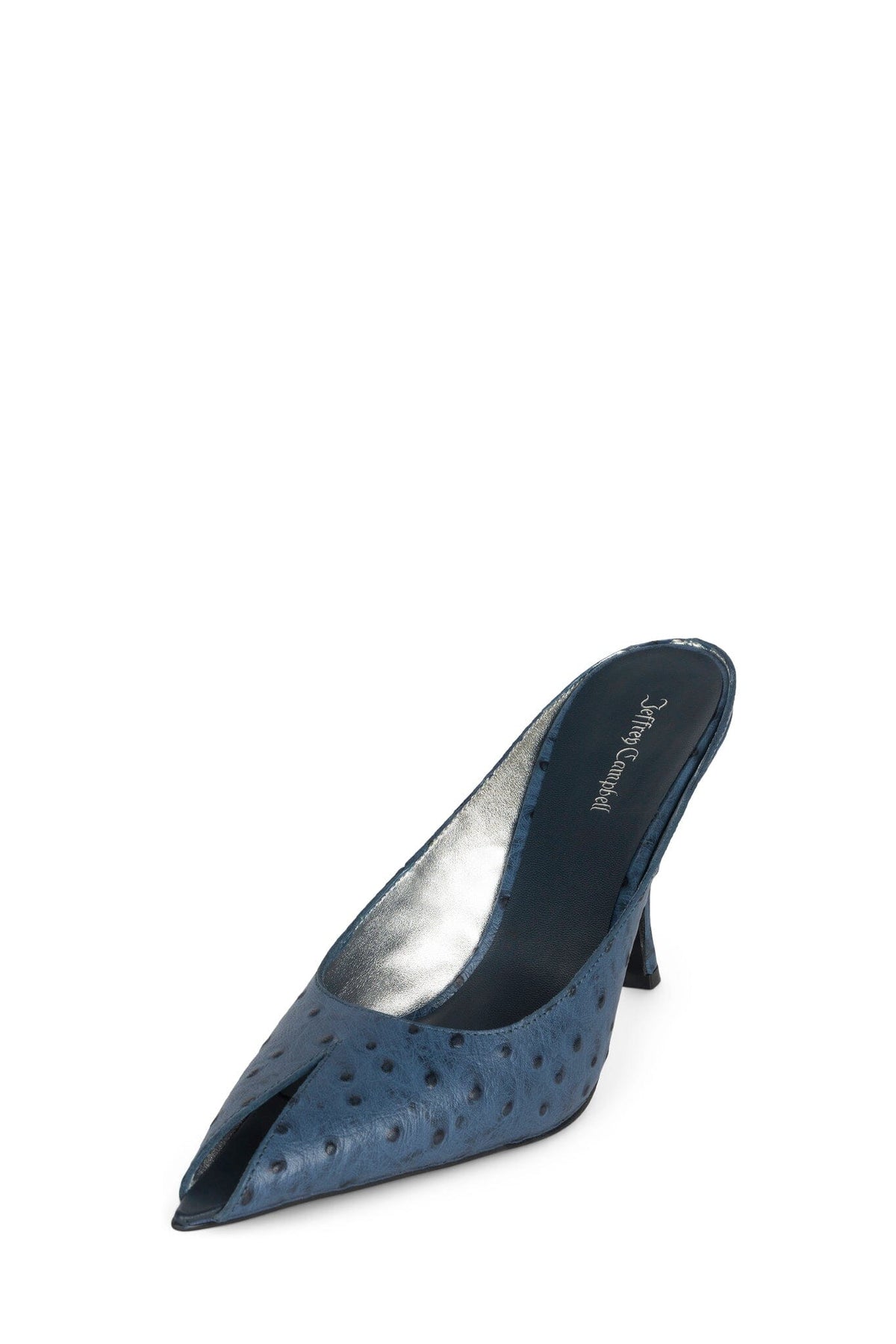 DESTINEE Blue Ostrich _hover