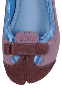 FAYLEN Blue Purple Combo