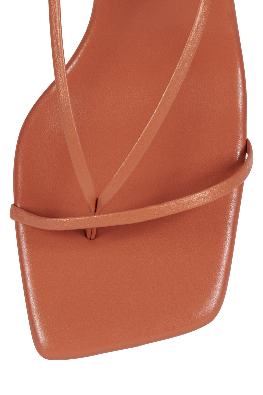 women's novelty jumpers