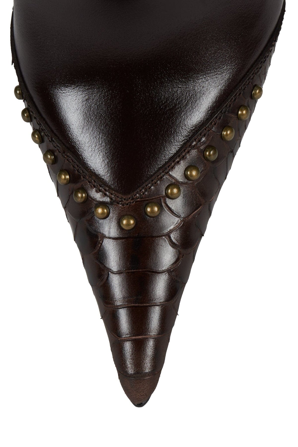 HEADTURNER Brown Snake Combo