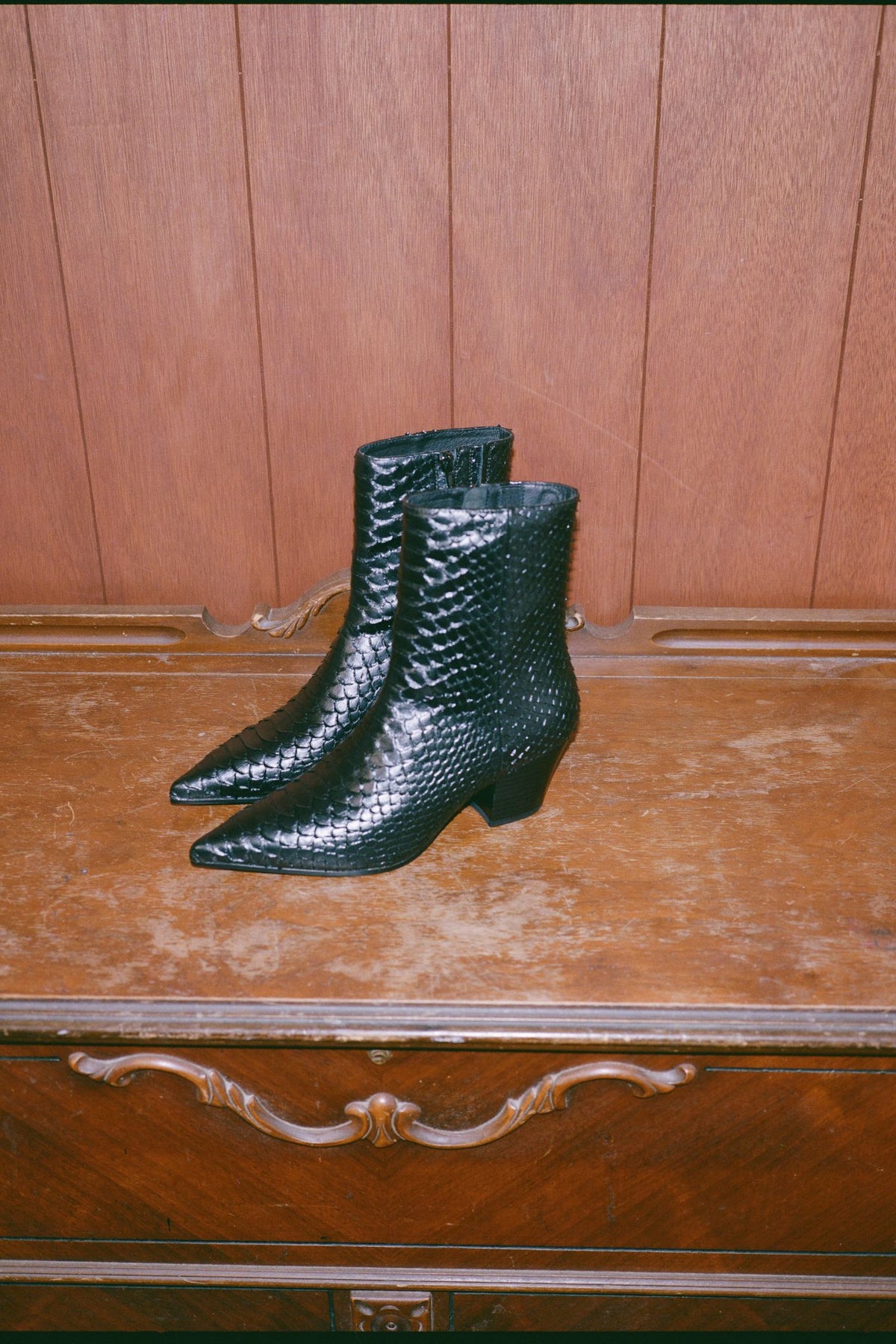 JOSHUATREE Jeffrey Campbell Ankle Boot Black Snake _hover
