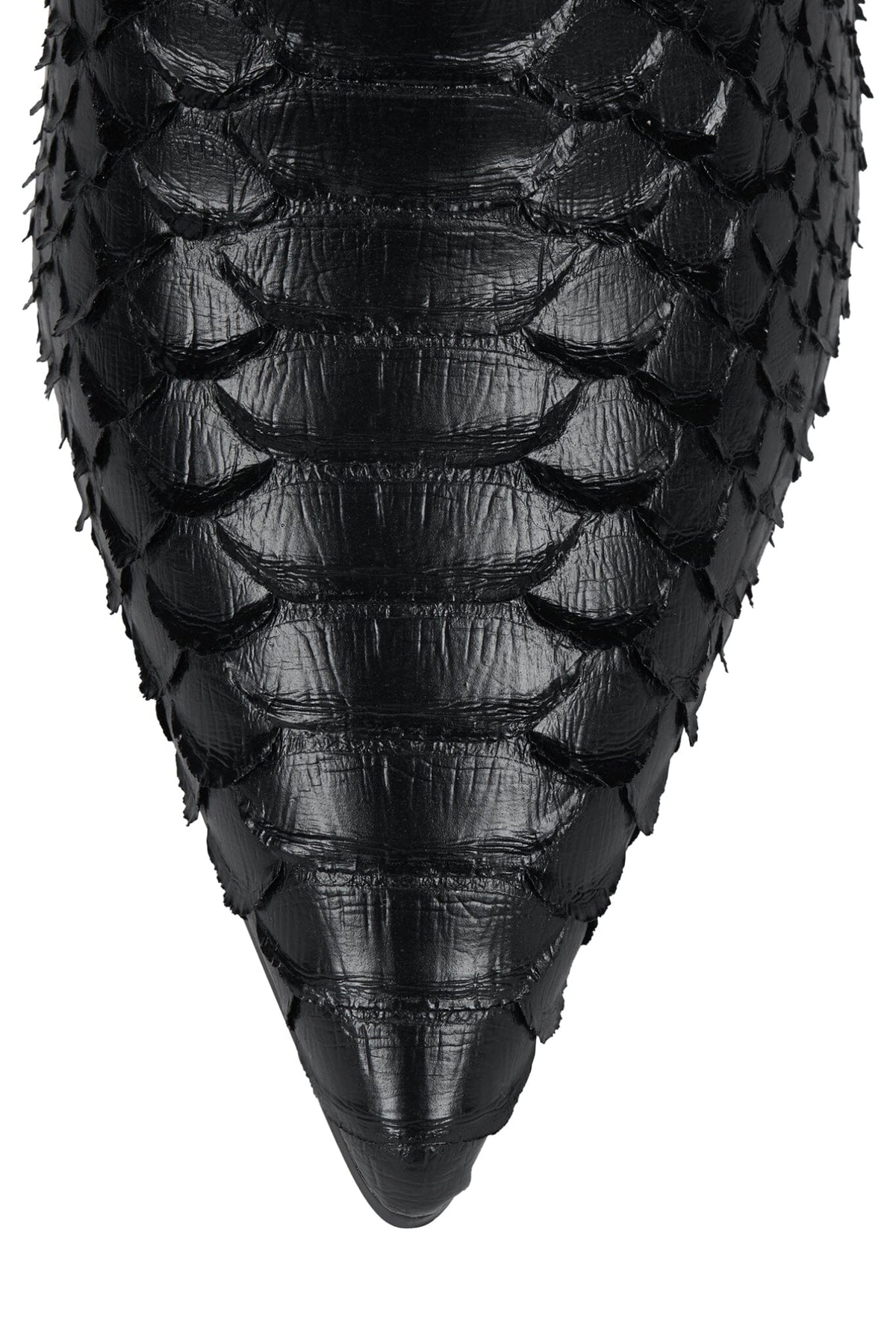 JOSHUATREE Jeffrey Campbell Ankle Boot Black Snake