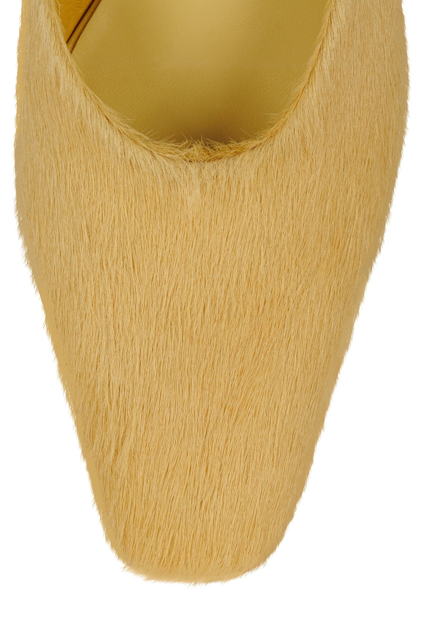 MOLLY-2F Jeffrey Campbell Heeled Mule