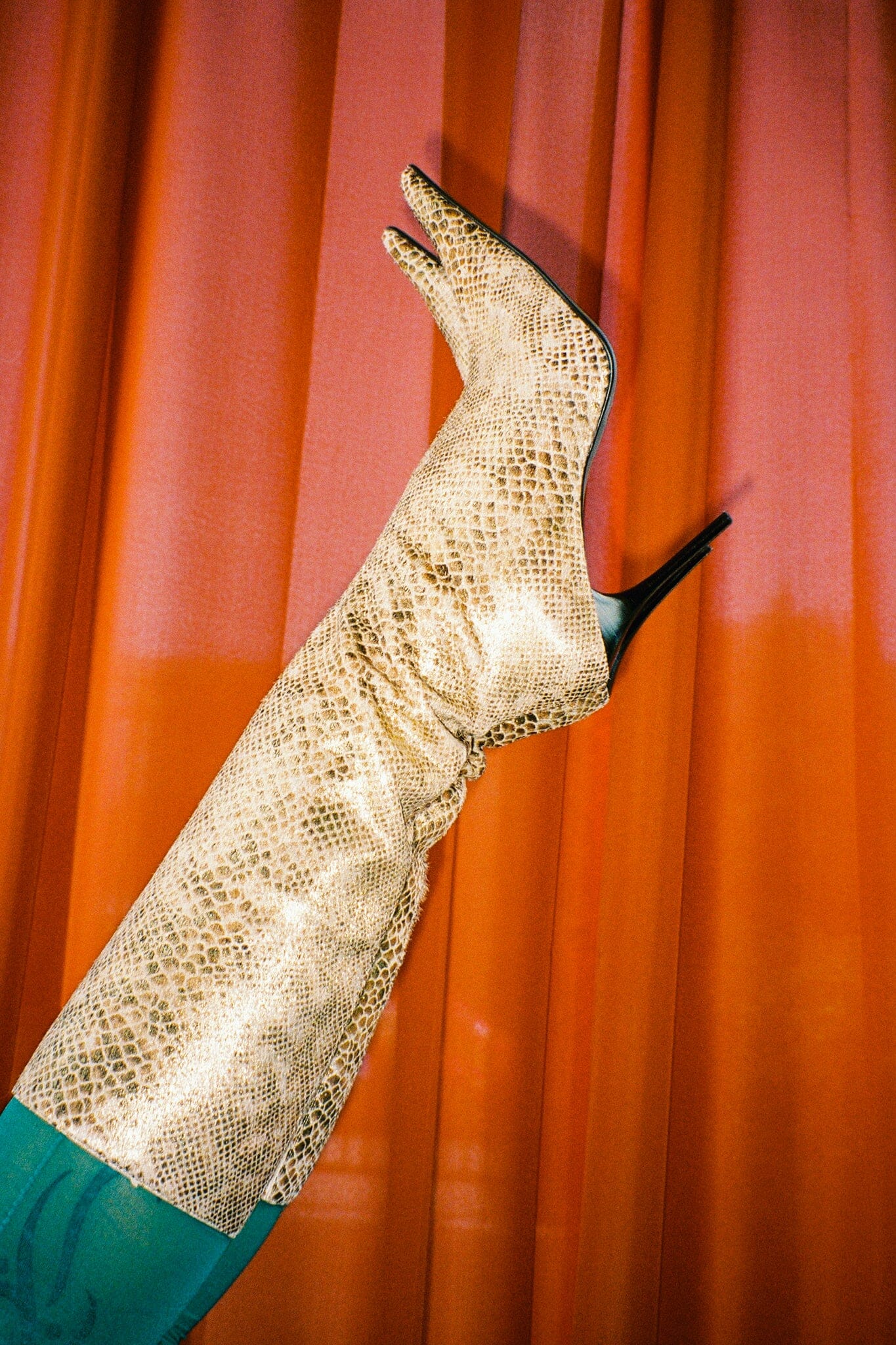 Jeffrey campbell snakeskin boots hotsell