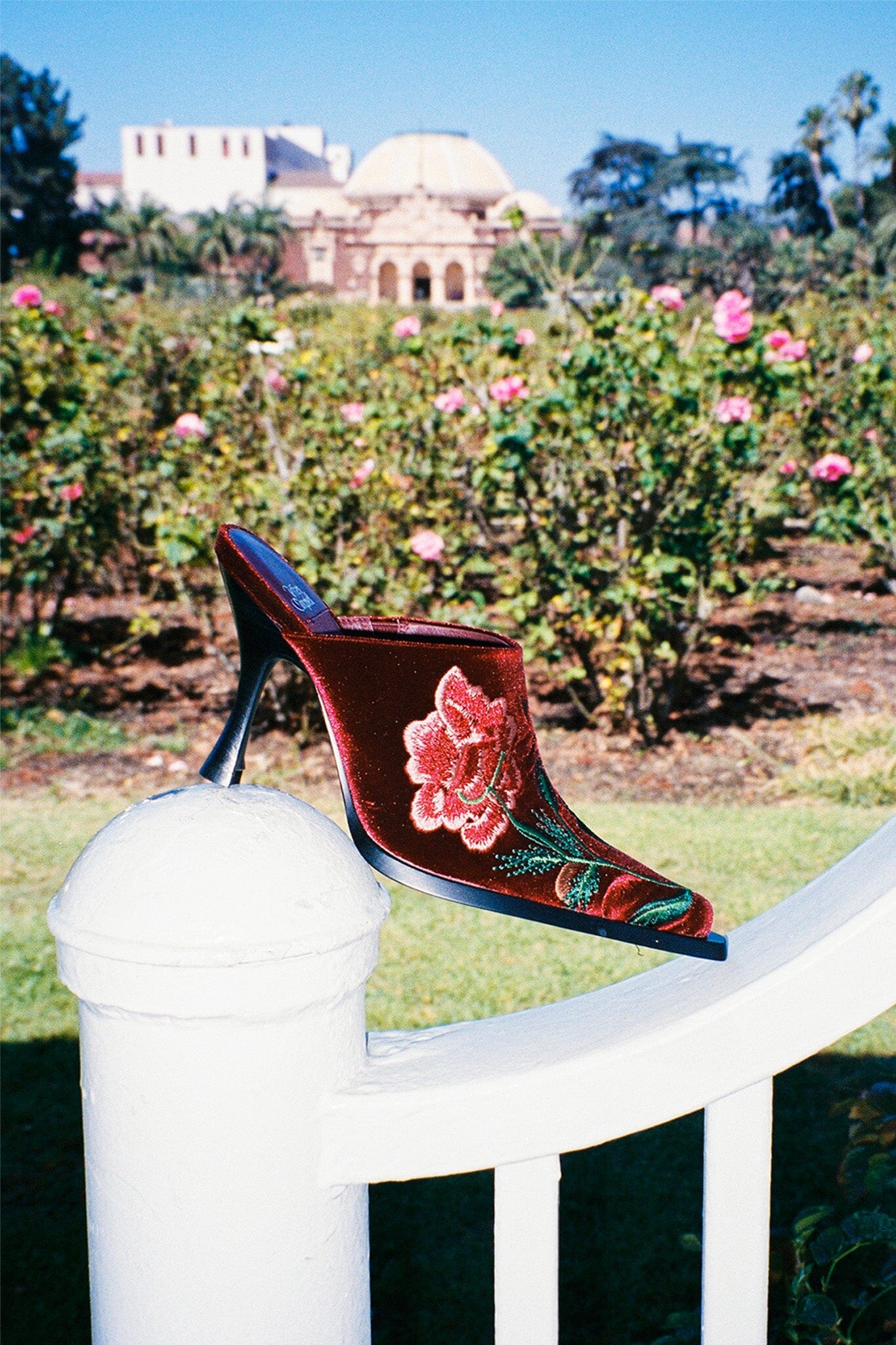 SAVANNAH Jeffrey Campbell Heeled Mule