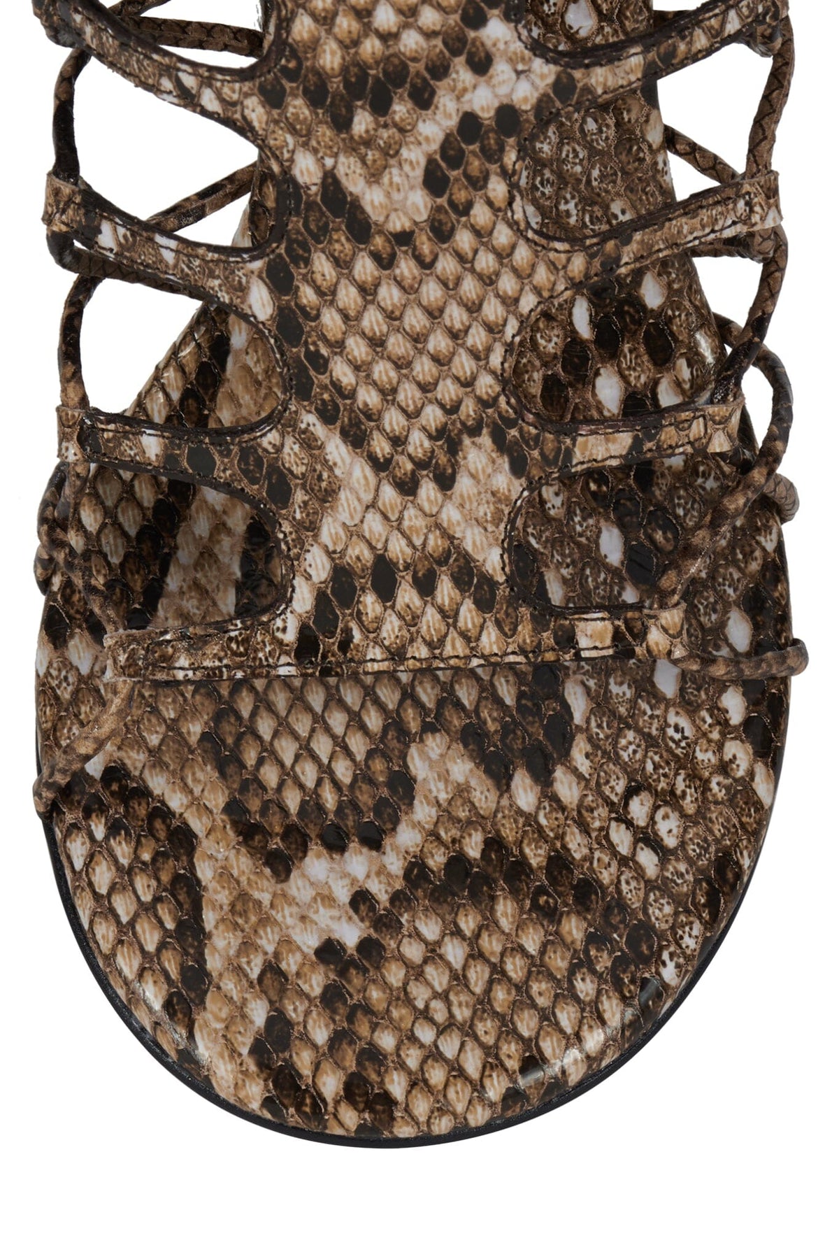 SCINTILLA YYH Brown Multi Python