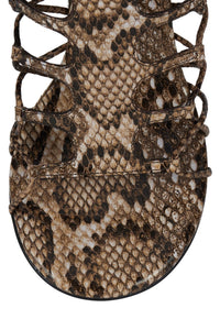 SCINTILLA YYH Brown Multi Python