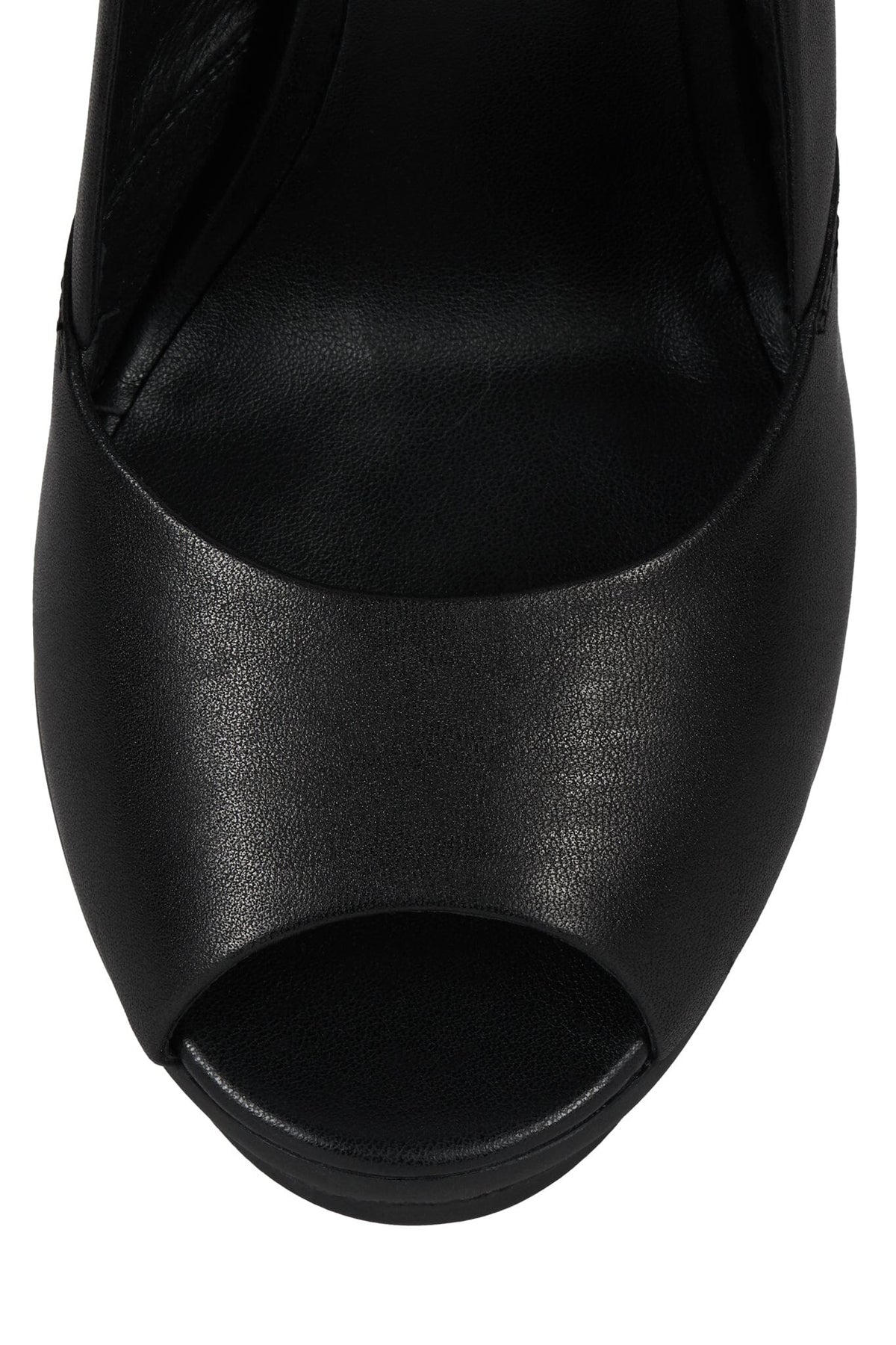 TERRESTRIA Black